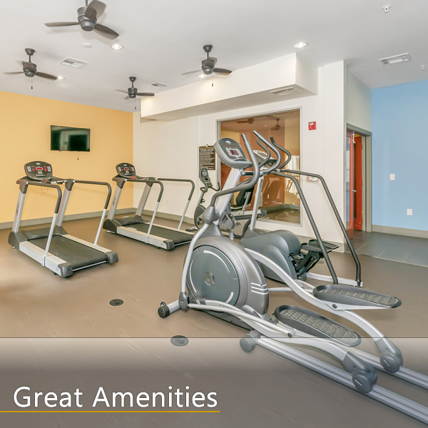 Features and Amenities
